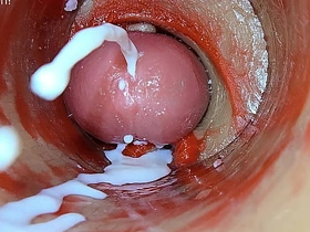 深插阴道内镜头捕捉精液喷射ASMR bear japan gay porn